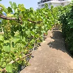 Lägenhet Mandola Skála Marión